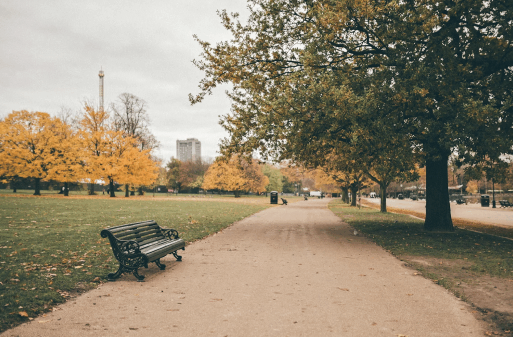 Roller Skating Hyde Park