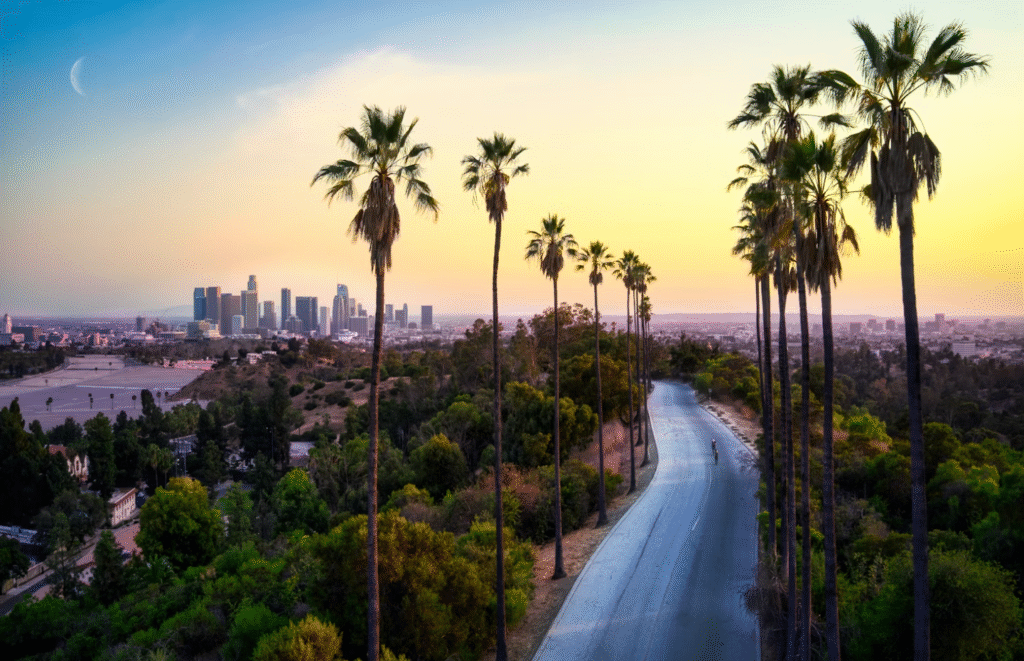 roller skating in Los Angeles